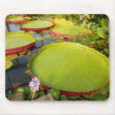 Suche nach orientalische mousepads Grün