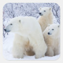 Suche nach churchill aufkleber Baby