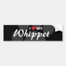 Suche nach whippet autoaufkleber Zucht