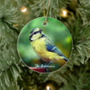 Suche nach kleine vögel ornamente Süß