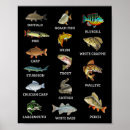 Suche nach barschangeln poster Im freien