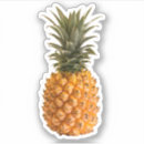 Suche nach tropische ananas aufkleber Bunt
