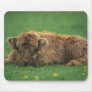 Suche nach haarig mousepads Hochland