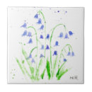Suche nach bluebells fliesen Blume