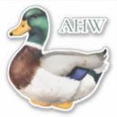 Suche nach grüne ente aufkleber Jagd