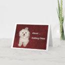 Suche nach spa karten Hund