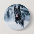 Suche nach schnee buttons Tier