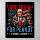 Suche nach anti clinton poster Präsident