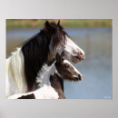Suche nach sinti und roma vanner poster Tier