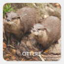 Suche nach otter aufkleber Tiere