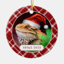 Suche nach dragon ornamente Rot