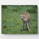 Suche nach wieser fotoplatten Natur