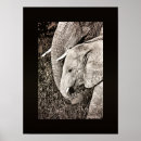 Suche nach elefant kunst Foto