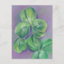 Suche nach grünes kleeblatt postkarten St patricks day