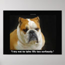 Suche nach englische bulldogge poster Hund