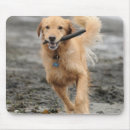 Suche nach stock mousepads Hund