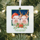 Suche nach weihnachtsschwein ornamente Weihnachten