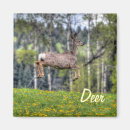 Suche nach dee wohnen zuhause Wildtiere