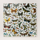 Suche nach schmetterlinge puzzle Motten
