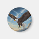 Suche nach adler magnete Usa