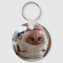 Suche nach pitbull hunde schlüsselanhänger Tag