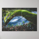 Suche nach magischer wald poster Bezaubernd