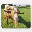 Suche nach ziege mousepads Landschaft
