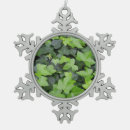 Suche nach efeu ornamente Natur