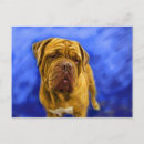 Suche nach französischer mastiff postkarten Dogue de bordeaux