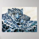 Suche nach schneeleoparden poster Wildtiere