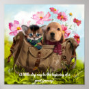 Suche nach kleiner weißer hund poster Niedlich