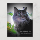 Suche nach sonnig postkarten Strand