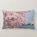 Suche nach washington dc kissen Usa