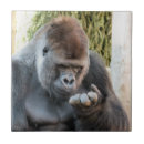 Suche nach primat fliesen Gorilla