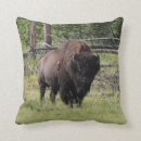 Suche nach bison kissen Wild
