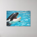 Suche nach orca leinwandbilder Wildtiere