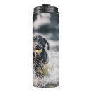 Suche nach schwarzer labrador retriever welpe tassen Haustier