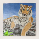 Suche nach tiger puzzle Rätsel