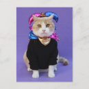 Suche nach scottish fold poster Spaß
