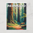 Suche nach redwood national park postkarten Natur