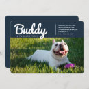 Suche nach pet einladungen Modern