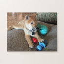 Suche nach shiba puzzle Niedlich