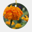 Suche nach garten ornamente Natur
