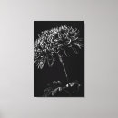 Suche nach chrysanthemen leinwandbilder Botanisch