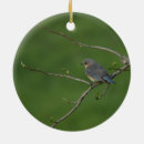 Suche nach frühling ornamente Natur