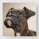Suche nach boxer wanduhren Fotografie