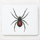 Suche nach witwenspinne Natur