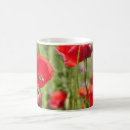 Suche nach roter mohn tassen Blume