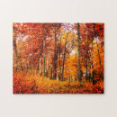 Suche nach herbstwald puzzle Wälder