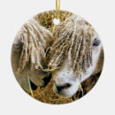 Suche nach lustige schafe ornamente Niedlich